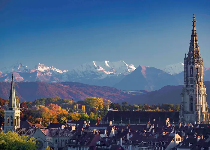 酒店 比尔美居酒店 4*